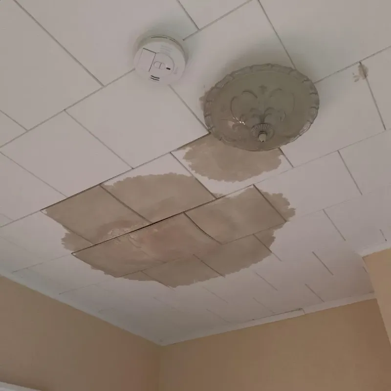 Ceiling Water Damage Repair in Wallingford Center, CT