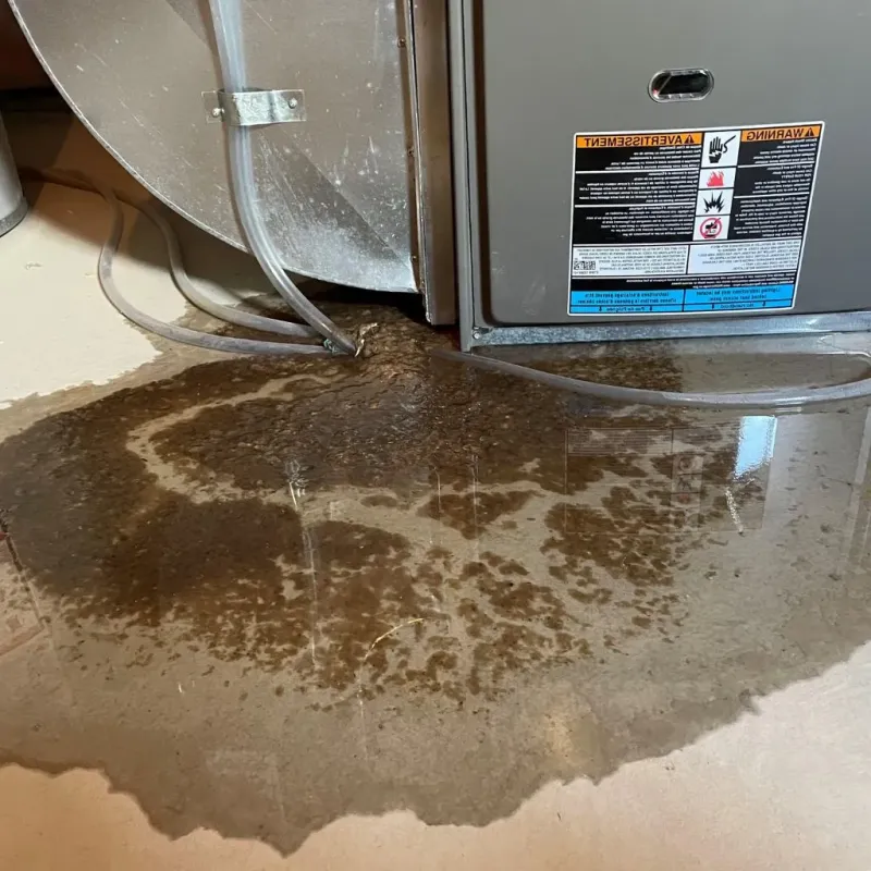 Pipe Burst and Leak Restoration in Wallingford Center, CT